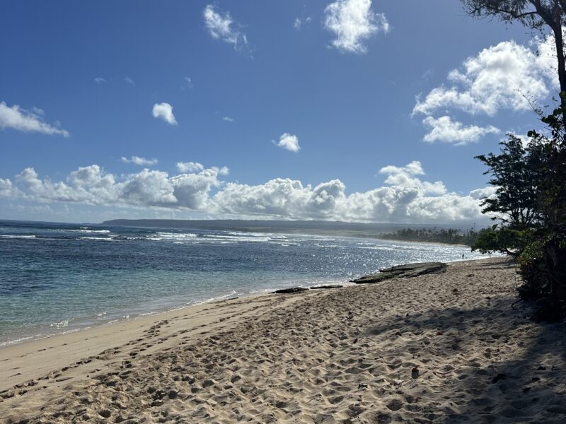 Ka'ala View Beach House