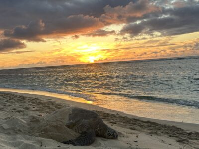 Ka'ala View Beach House